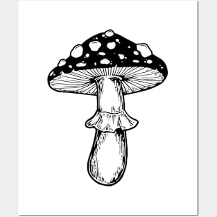 Spotted Mushroom Posters and Art